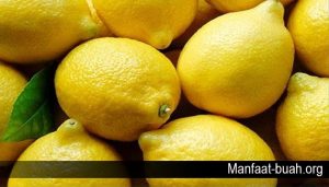 Beberapa Manfaat Lemon untuk Kesehatan